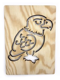 DrawWithMe – Drawing Stencil – Forest Animals – Eagle
