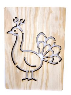 DrawWithMe - Drawing stencil - Birds - Peacock