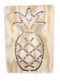   DrawWithMe – Drawing Stencil – Vegetables & Fruits – Pineapple